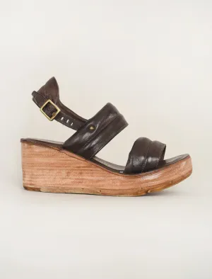 Norward Wedge, Chocolate