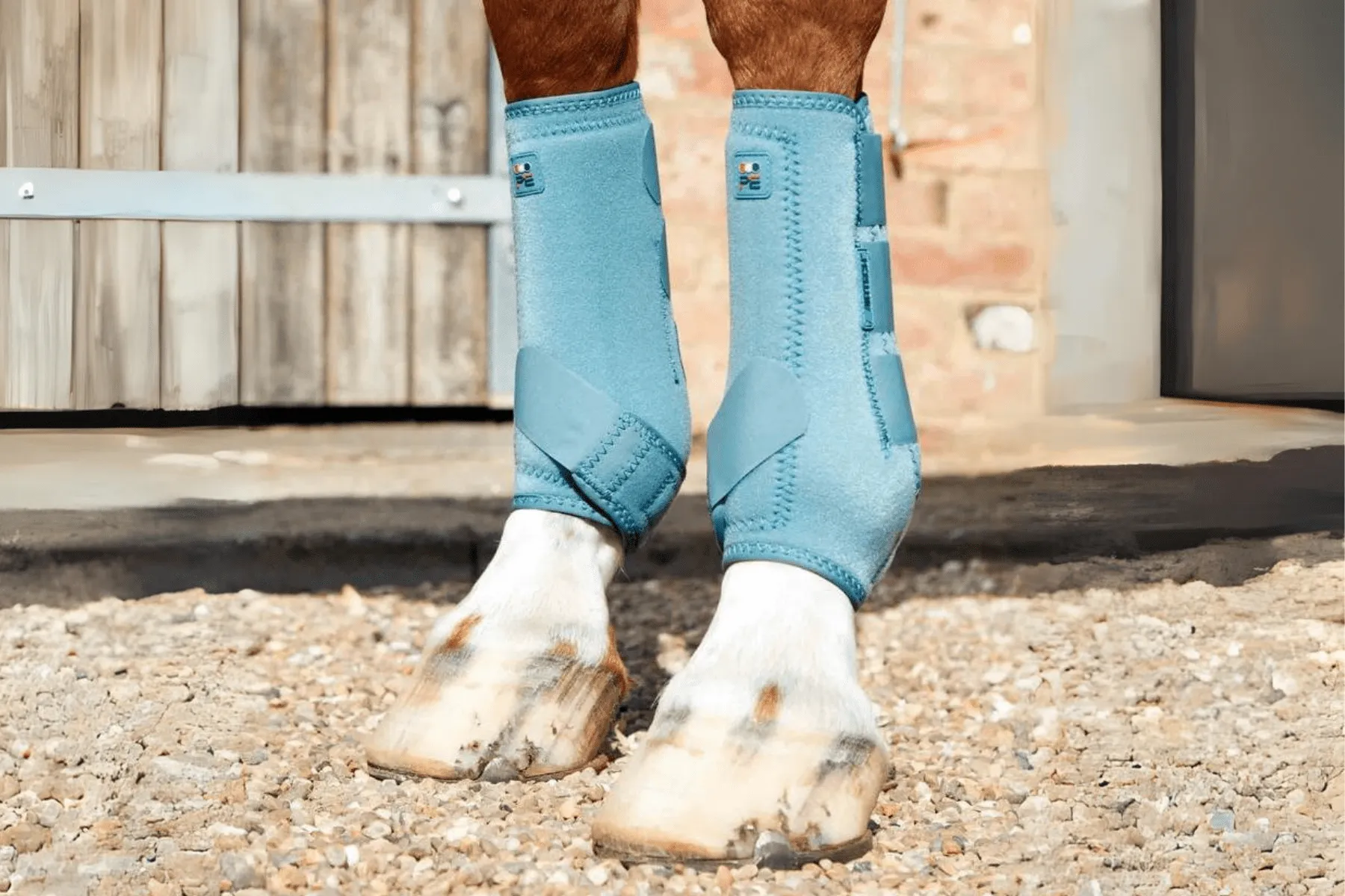 Premier Equine Air-Tech Sports Medicine Boots