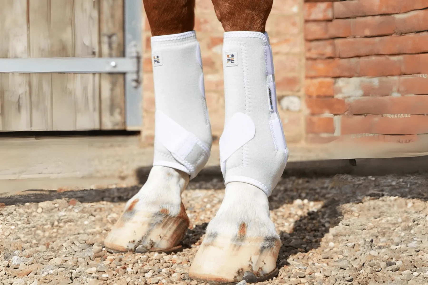 Premier Equine Air-Tech Sports Medicine Boots