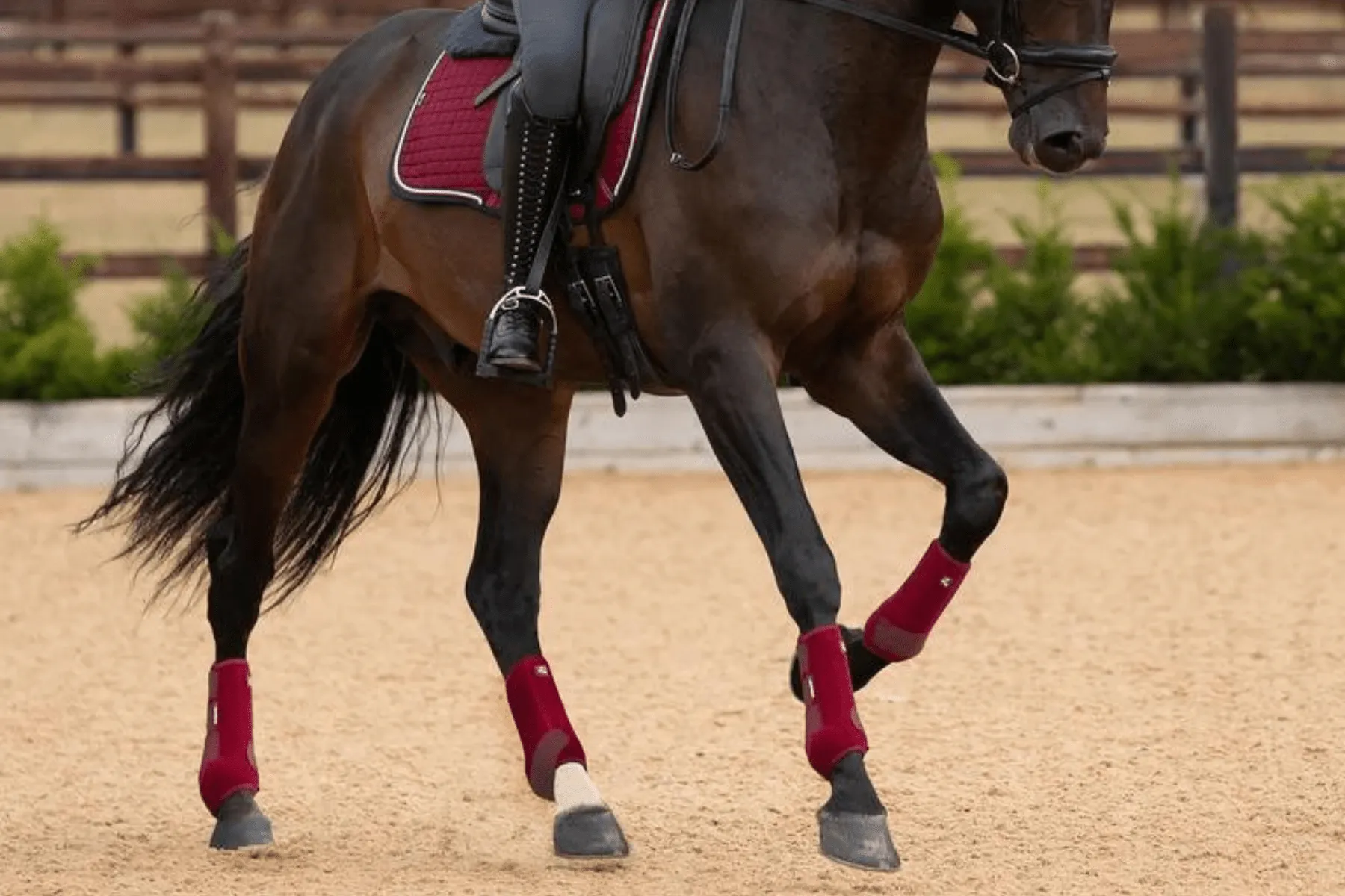 Premier Equine Air-Tech Sports Medicine Boots